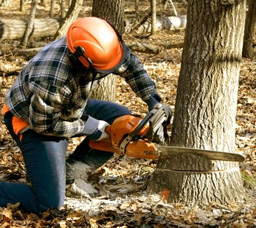 Tree Removal in Summit, SD